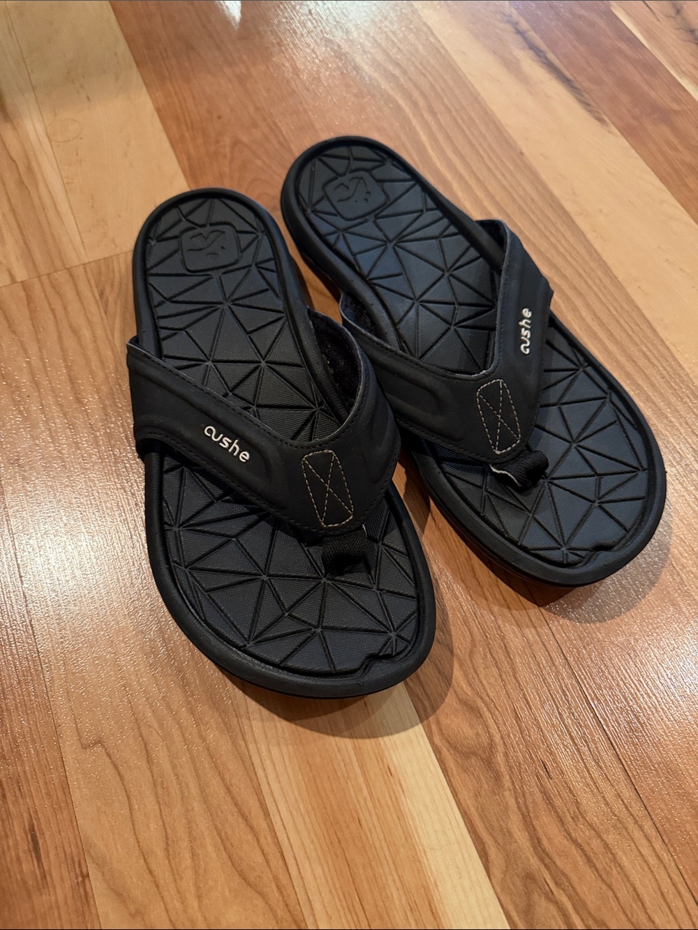 Cushe sandals NWOT